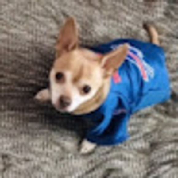 Meet your Posher, Nicole - Picture 1 of 1